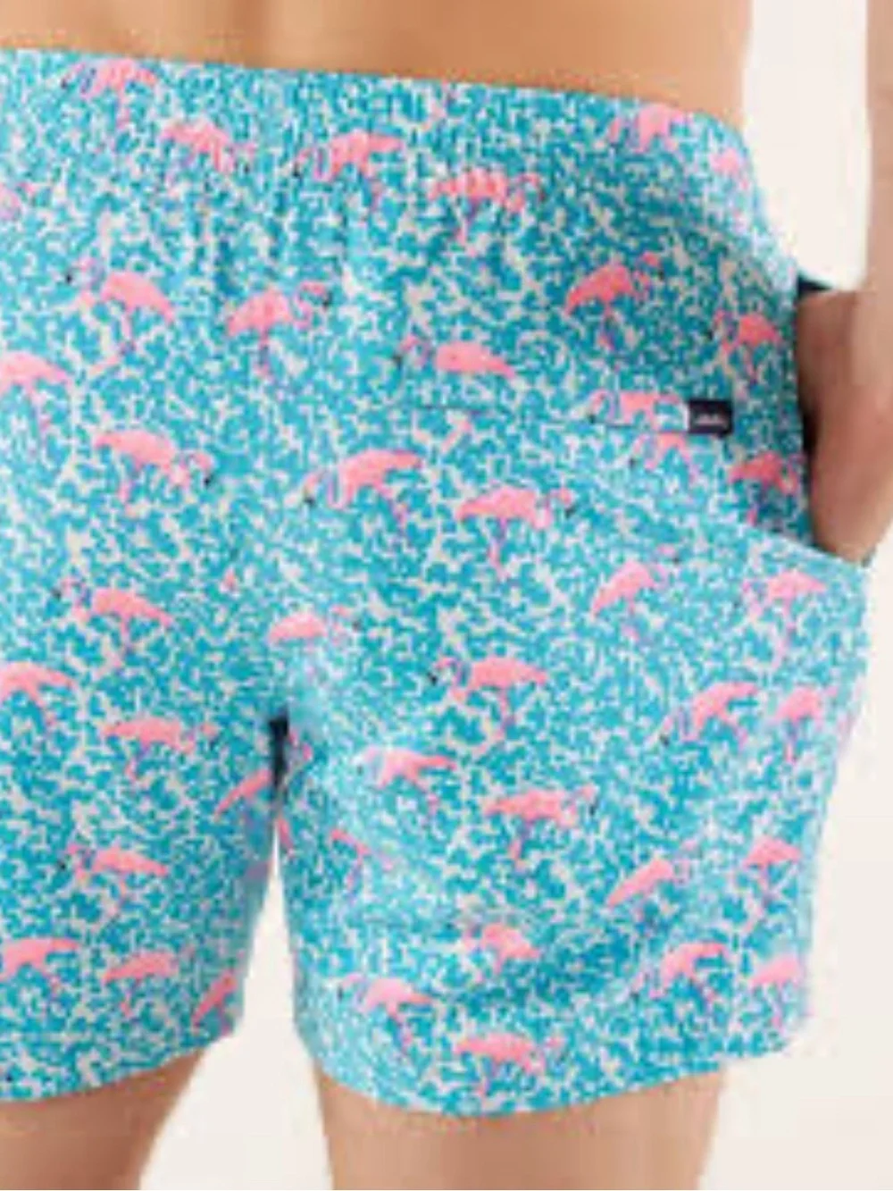 Chubbies The Domingos Are Flamingos Stretch Swim Trunks youth large